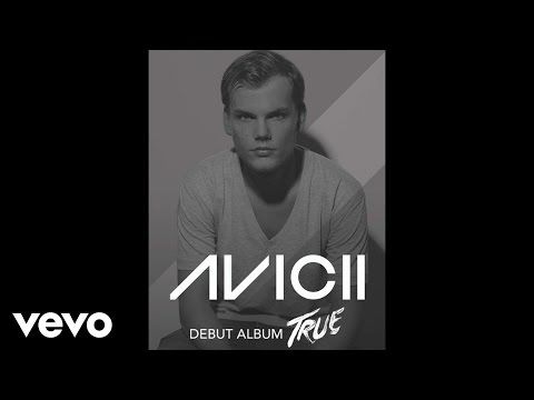 Avicii - Shame On Me (Audio)