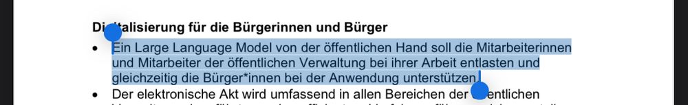 Auszug aus dem aktuellen österreichischen Regierungsprogramm zum Thema Digitalisierung. Ein LLM für die öffentliche Hand soll kommen