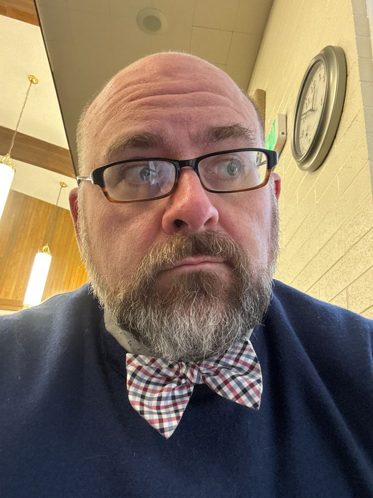 A selfie of a middle-aged man with a shaved head and full beard. The man wears a pair of tortoiseshell glasses perched on a bulbous nose. He is wearing a blue and red checked bow tie, gray patterned shirt, and navy blue sweater. 