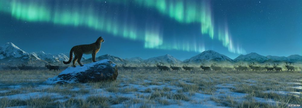 A cheetah-like Miracinonyx stands on top of a small boulder in a snowy prairie. In the background, a herd of reindeer move amidst a cloud of dust. Beyond them there's mountains on the horizon, and greenish northern lights on a dark blue sky with faint stars.