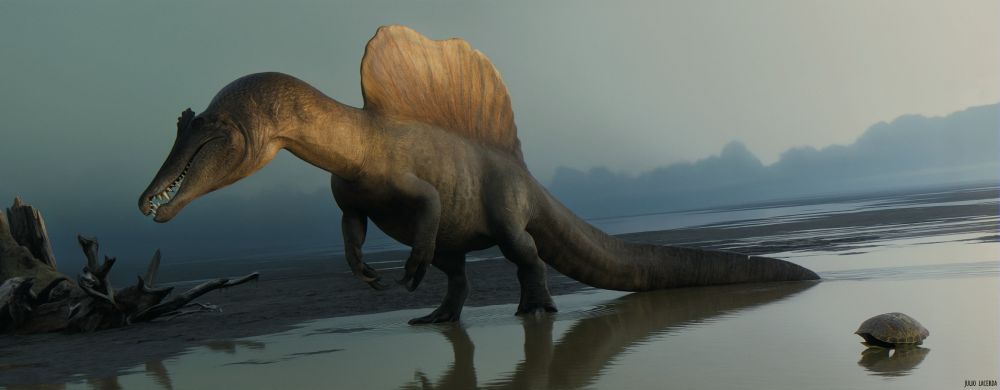 An Oxalaia quilombensis (very close Spinosaurus relative from Brazil) crosses a tidal flat under a dark, cloudy sky. The dinosaur has its tail resting or dragging across the muddy ground, powerful arms, long neck and head and a rectangular-shaped sail on its back giving it a kaiju-like appearance. To its right there's a discarded turtle shell, and to its right, a pile of driftwood. Soft light is hitting its sail and part of its neck making them look brighter and more vivid than the somber looking environment.