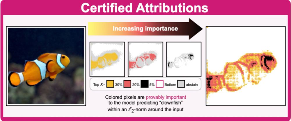 Image for "Pixel-level Certified Explanations via Randomized Smoothing"