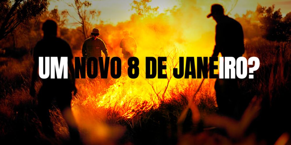 Um Novo 8 de janeiro? Desafios e Responsabilidades na Luta Contra os Incêndios no Brasil