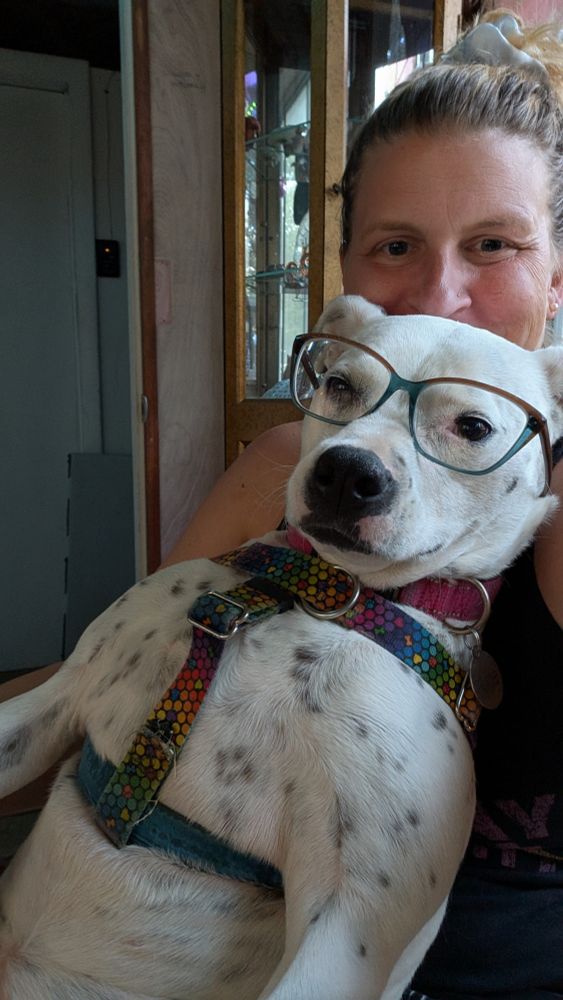 Selfie of a blond woman and her pitbull mix doggo who is sitting on her lap and wearing her glasses. She is also sporting a rainbow harness and pink collar. She's adorable and HATES fire works