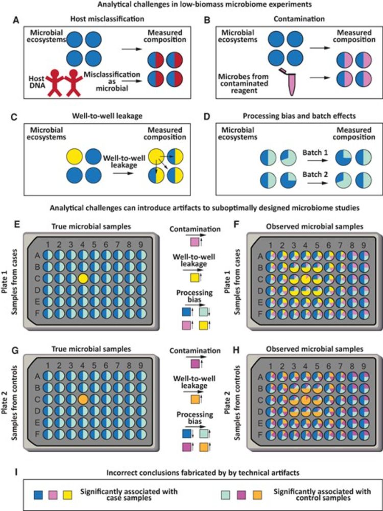 Planning and Analyzing a Low-Biomass Microbiome Study: A Data Analysis Perspective