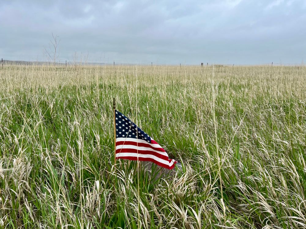 An American flag is planted in high grass at a barely visible grave