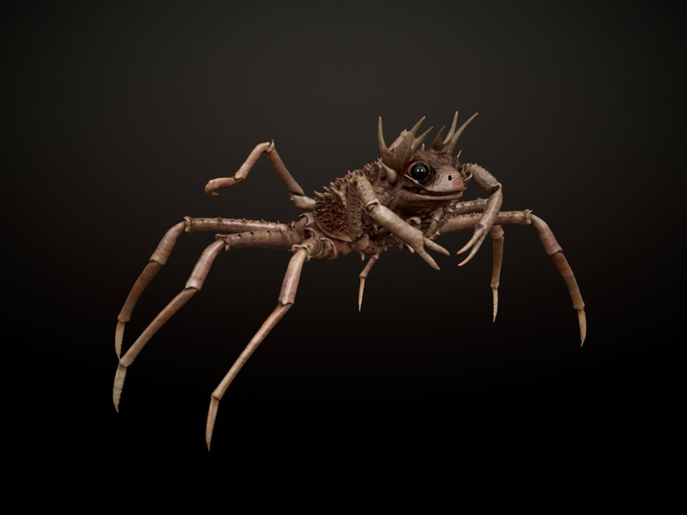 A strange chimeric merging of crab and frog. 