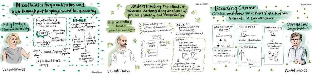 The image is a creative sketch showcasing summaries of scientific presentations, visually represented with doodles, text, and portraits of speakers. The artist's Instagram handle, @isabellaease, is displayed.