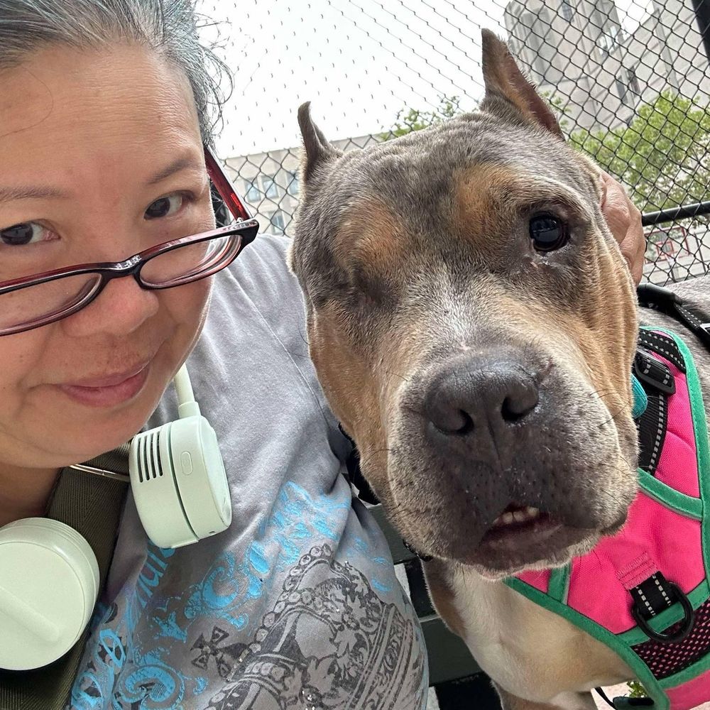 One-eyed Oddie is a Adult Pit Bull Terrier  described as: Affectionate, Funny, Quiet, Smart, Gentle, Athletic, Couch, Curious, Playful, Loyal, Independent, Loves and Friendly