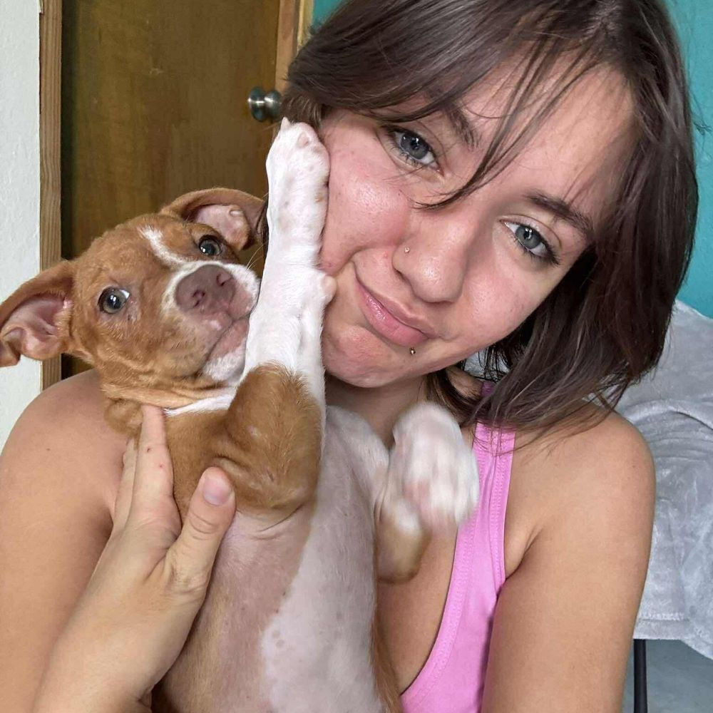 Cinnamon is a Baby Pit Bull Terrier mix described as: Affectionate, Athletic, Brave, Couch, Curious, Dignified, Friendly, Funny, Gentle, Loves, Loyal, Playful, Quiet and Smart