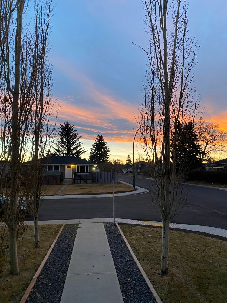 Sunset, with an arch of blue sky and pale orange and pink clouds above it.  Street corner with trees in foreground.