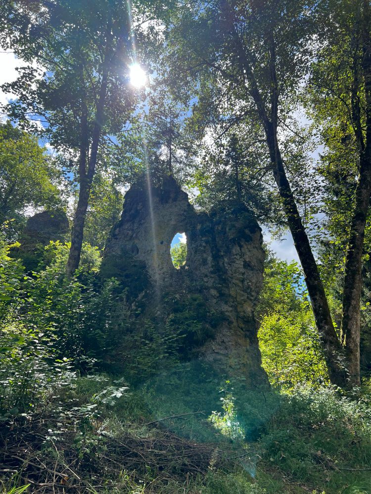 Ein Felsen mit einem Loch, von Bäumen umgeben und im Gegenlicht 