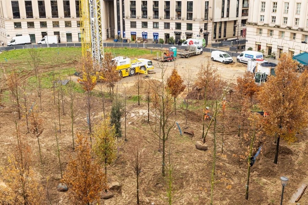 Place de Catalogne où est en train d'être planté une forêt urbaine. Photo prise depuis le haut. 
Crédit : Guillaume Bontemps / Ville de Paris
