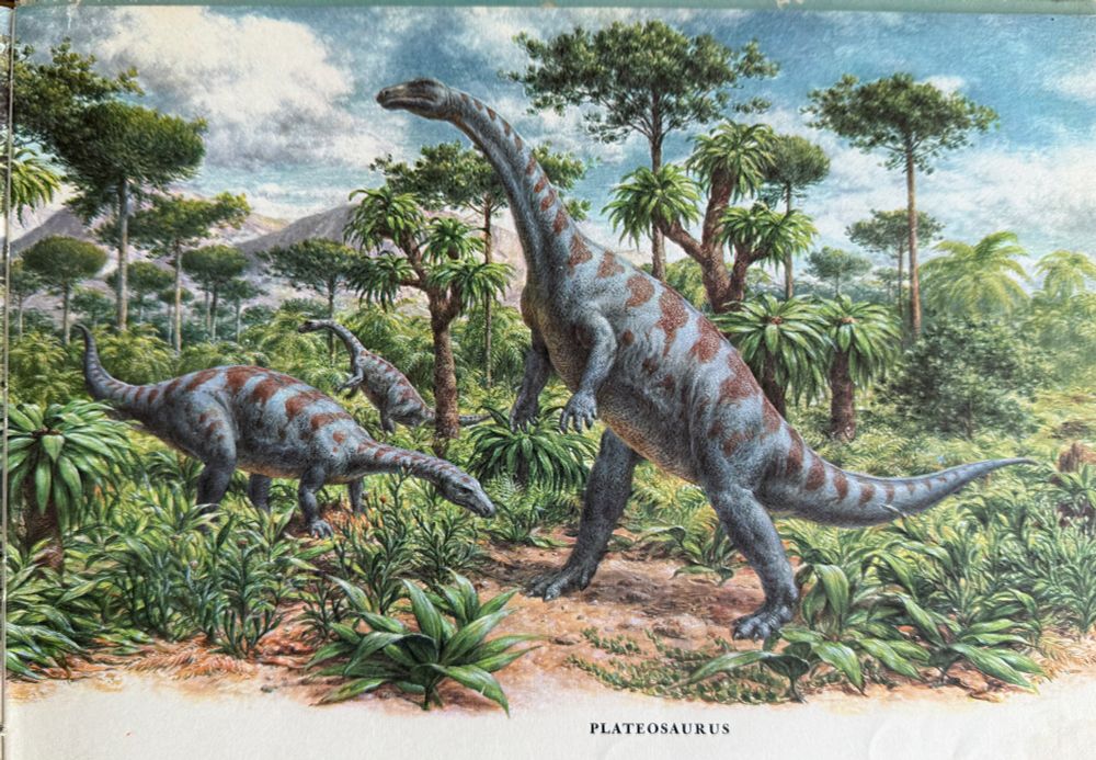 A color plate illustration from a 1960s era dinosaur book, showing three Plateosaurus dinos in a green, fern-dominated landscape. The dinosaurs are depicted as bluish-purple with reddish banding.