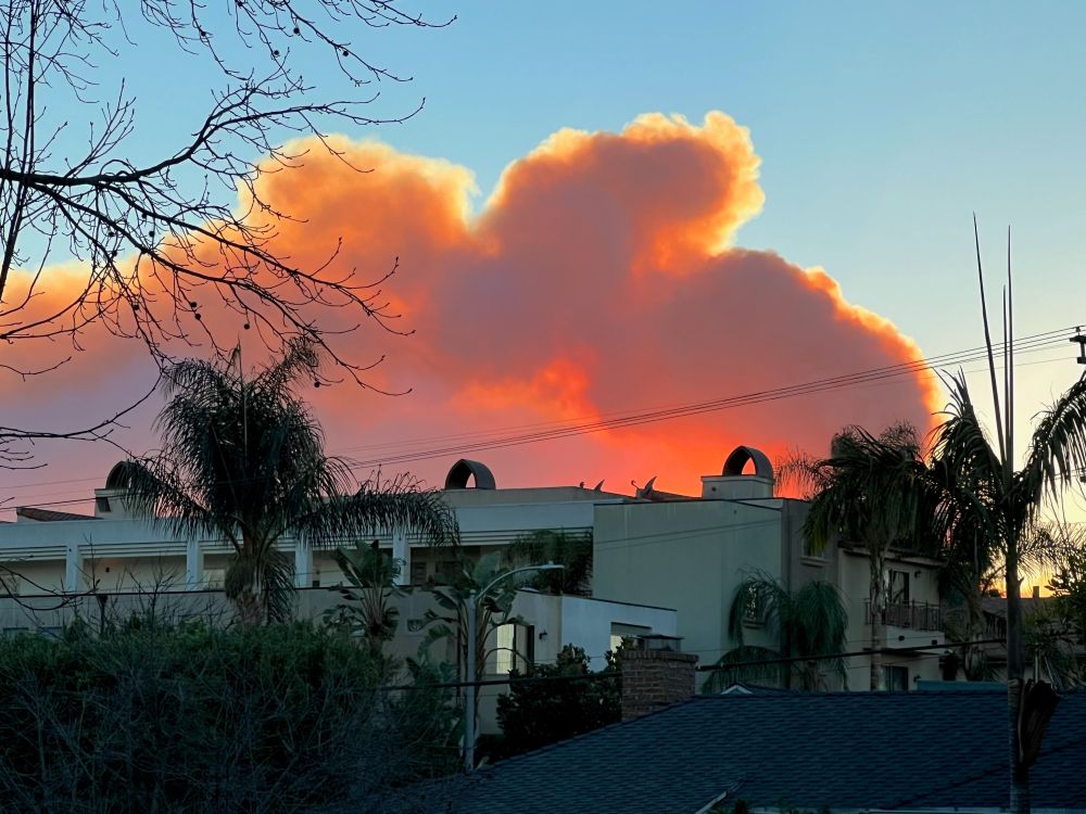A phone picture looking at an apartment building with a few palm trees in front of it, near dusk. The sky is still blue, but looming behind the building in the distance is an enormous cloud of smoke from the Palisades Fire near Los Angeles. The smoke is stained orange from the sun behind it.
