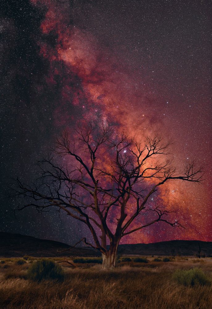Astrophotography, tree in foreground stars streak across the sky in red 

Photo / Art Credit - Peter Lik Fine Art Photography: https://www.facebook.com/PeterLik/posts/pfbid0Wd3PMG7bsAAreKLPPcYKy69iP7doonBzi5RnWETaBi3tH53DjTwS89RwNBfVJ6k9l

#psybient #ambientmusic #chilloutmusic #chilledvibes #spacemusic #meditationmusic #meditation

This week an other downtempo journey through deep space, transcending genres on the way.

https://www.mixcloud.com/FluidDynamic/deep-space-psychedelic-ambient-set-no-806-27-07-2025/

Harax - Flow
Accretionist - New Terra
Ion Stream - Endless Space
State Azure - Monsoon Therapy
Accretionist - Dyson Sphere Connection
Lab's Cloud & Suduaya - Plumeria
Dreamstate Logic - Awakening In The Dream
Dhamika - Ebb & Flow (Part 1)
Harax - Afterglow
Astronaut Ape - Homeworld
Abdomen Burst - Sakkura
Harax - Farewell
Carbon Based Lifeforms - Accede
State Azure - Apeture
Abdomen Burst - Narada
Brahma - Even Flow
Carbon Based Lifeforms - Path of Least Dunka Dunka

