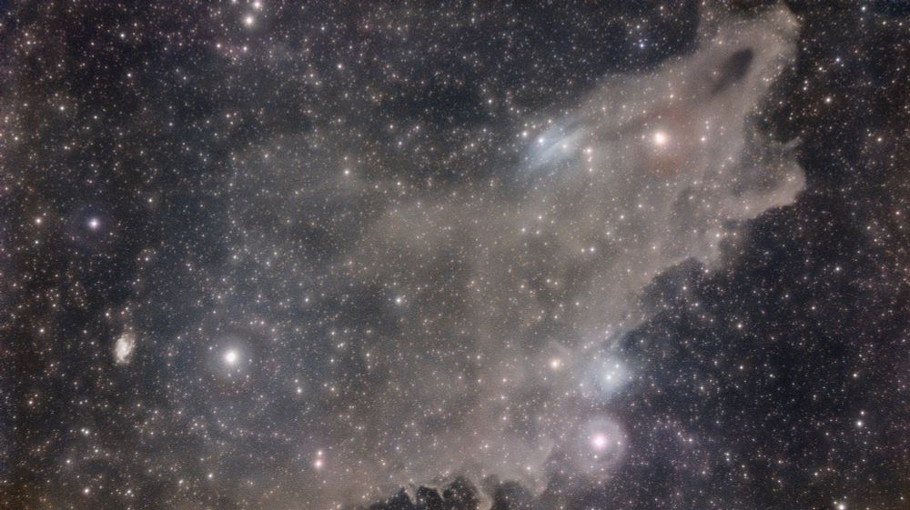 Grey, dusty structures make up a shark-like shape against a bright star field. A small galaxy is visible to the left. 