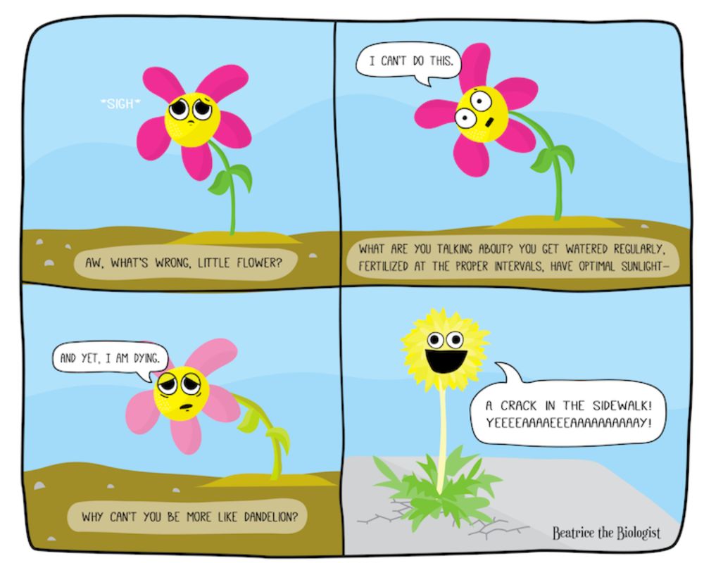 Be More Like Dandelion - Beatrice the Biologist