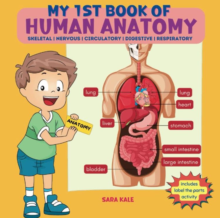 Image of a children’s book “my 1st book of human anatomy” by Sara Kale showing a cartoon boy next to an anatomy poster.
