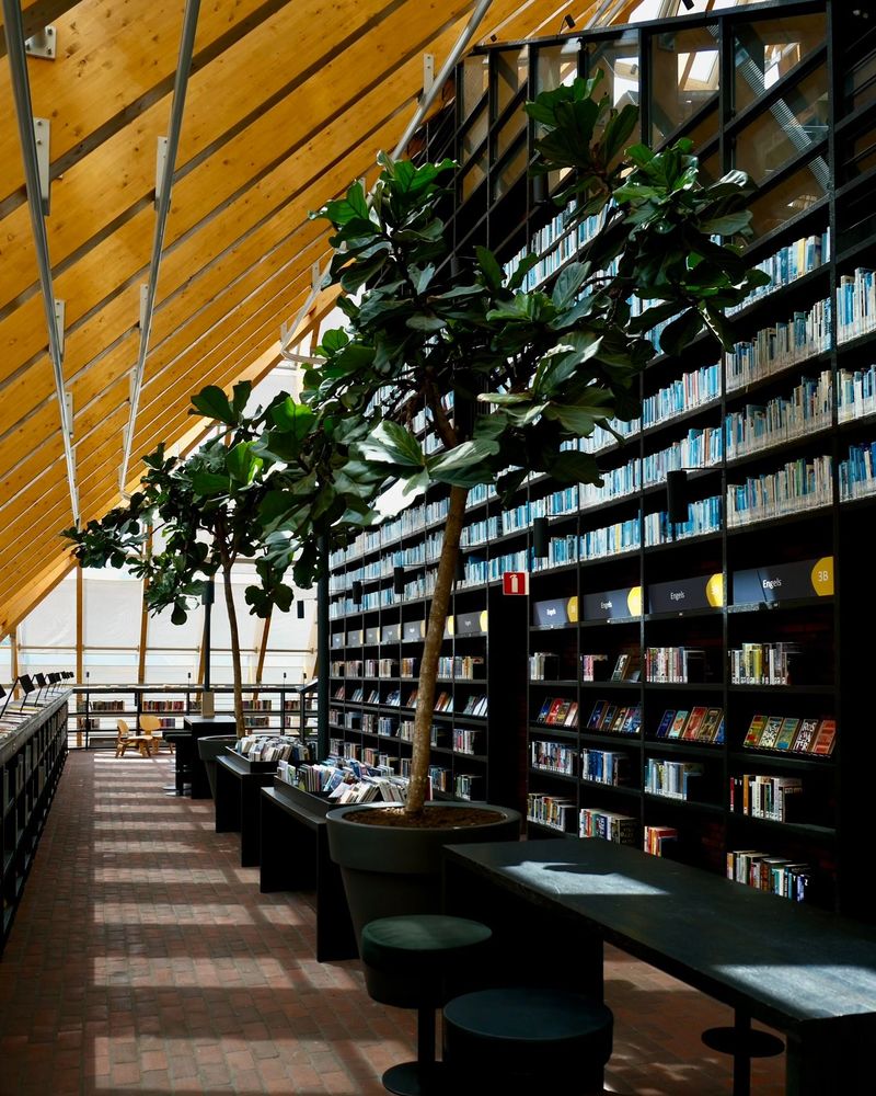 Large black bookshelves, desks and indoor trees under diagonal wooden roof beams.