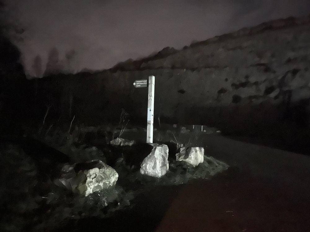 A nighttime scene, illuminated by a bright headlamp. In the background is the pale rock of a quarry face fringed with winter bare trees. In the foreground are three large boulders and a wooden fingerpost which points off into dark woods.