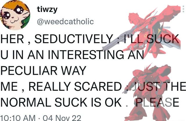 Twitter screenshot:

@weedcatholic posts

“HER, SEDUCTIVELY: I’LL SUCK U IN AN INTERESTING AN PECULIAR WAY”

“ME, REALLY SCARED: JUST THE NORMAL SUCK IS OK. PLEASE.”

Next to the first bit of text is a transparent Nightingale from Gundam

Next to the second is a transparent Sazabi from Gundam