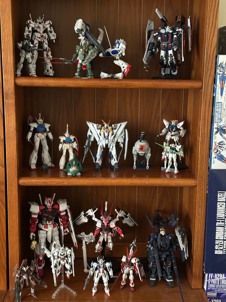 Shelves with many model kits.