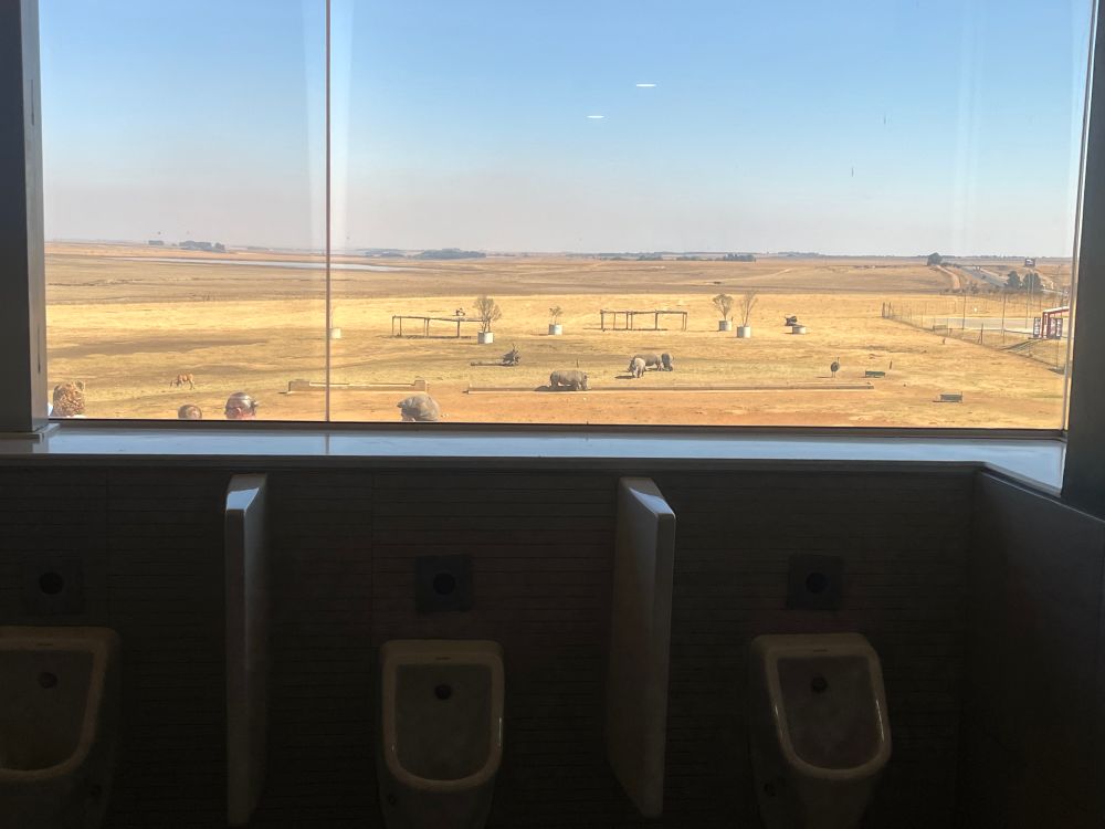 The view from the toilet in question. In the foreground you can see 3 urinals, with a large window facing out onto an open plain. 4 rhino are drinking from a trough, an ostrich is standing, and antelope are grazing.