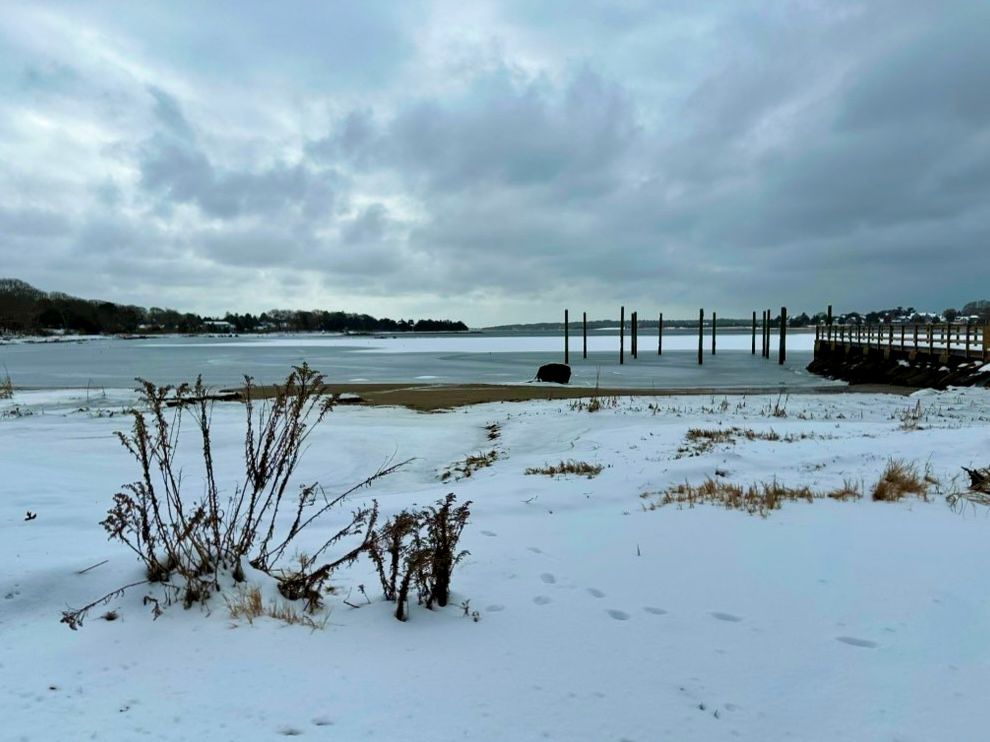 View of an icy Hen Cove with a snow covered beach in the foreground, and a closed dock with empty pilings stick out of the water.