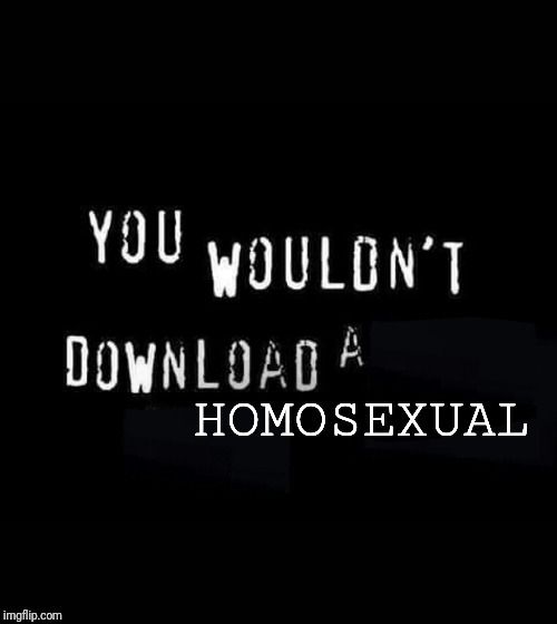 White text on black background, in the fashion of the UK anti-piracy adverts of old,  reading: "you wouldn't download a homosexual"