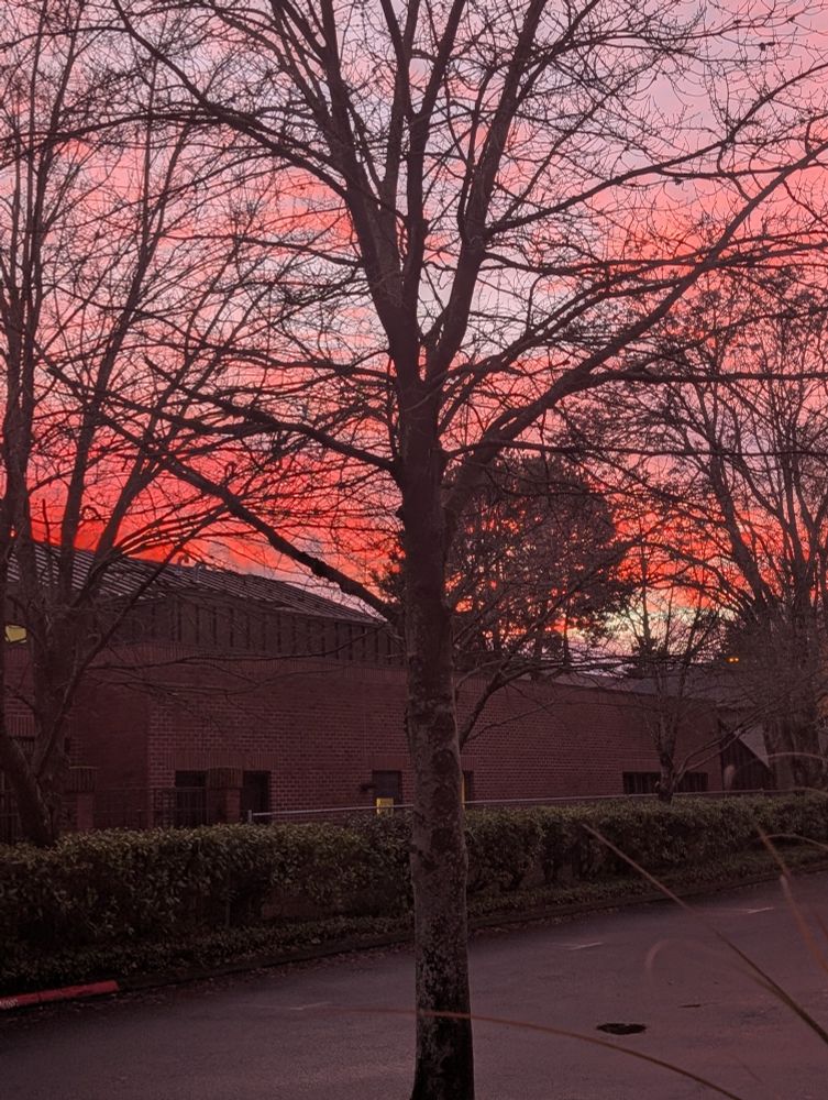 Sunset over Portland, Oregon, December 5th, 2025. The undersides of clouds are bright red, as red as the leaves of the maple trees this was taken through.