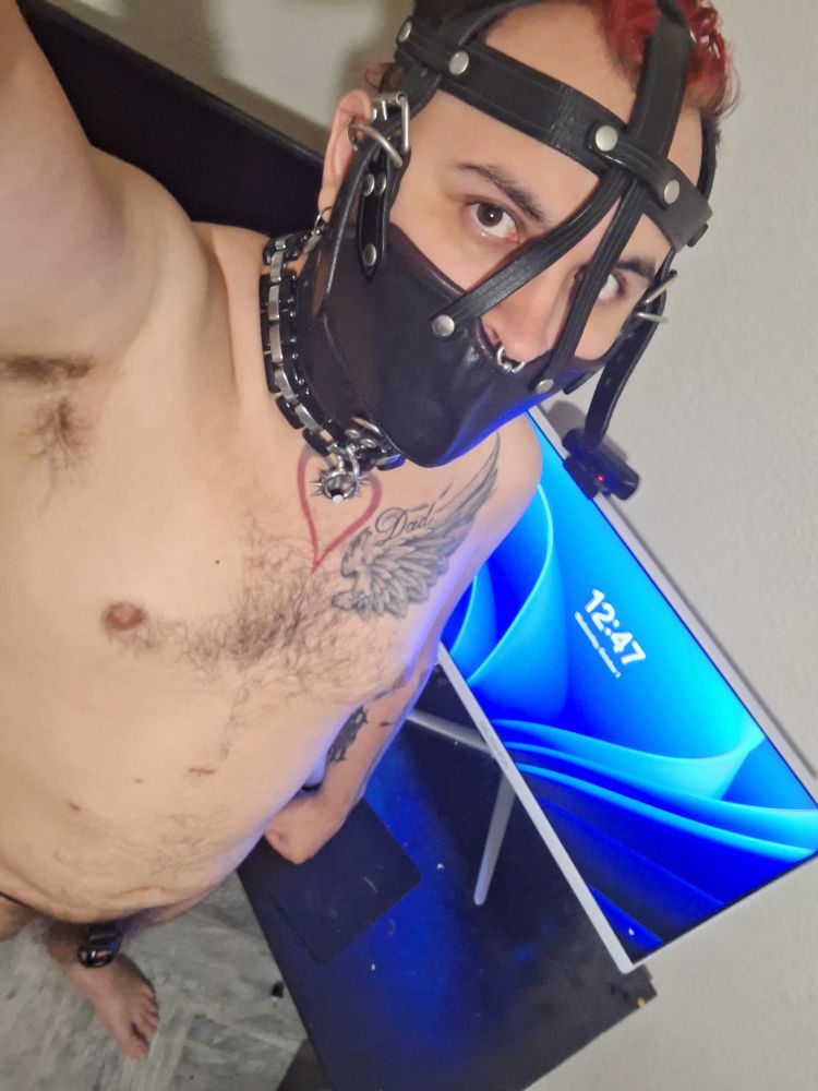 Standing, my face is muzzled, my dick is locked. I look up, into the lense, submissive. 