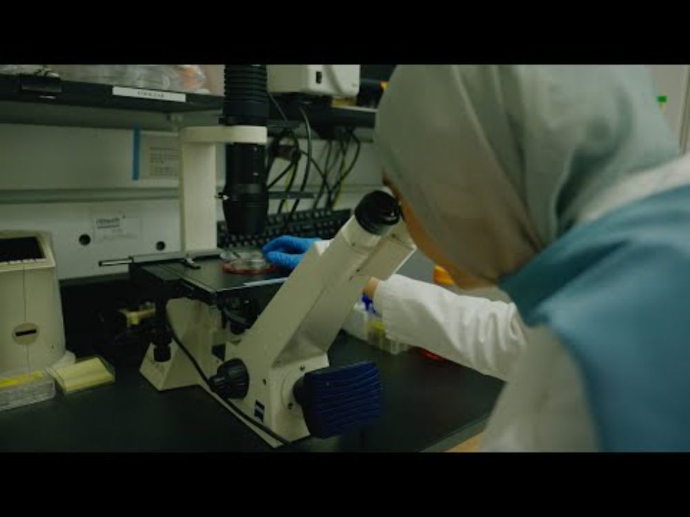 Inside the Cook Lab: How Cell Cycle Research Transforms Medicine