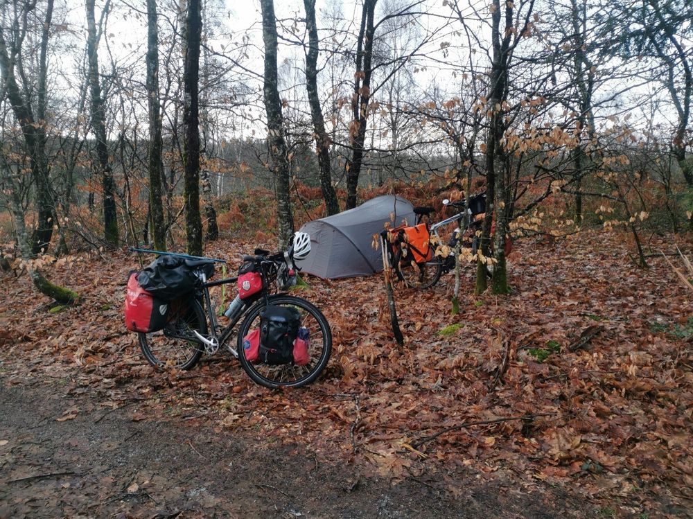 Tente et 2 vélos dans les bois