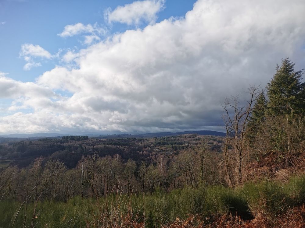 Coteau (forêt) sous un ciel mitigé