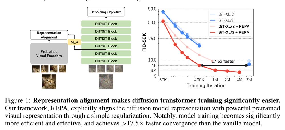 Figure of the REPA article depicting the distillation architecture and how it speeds up training.
