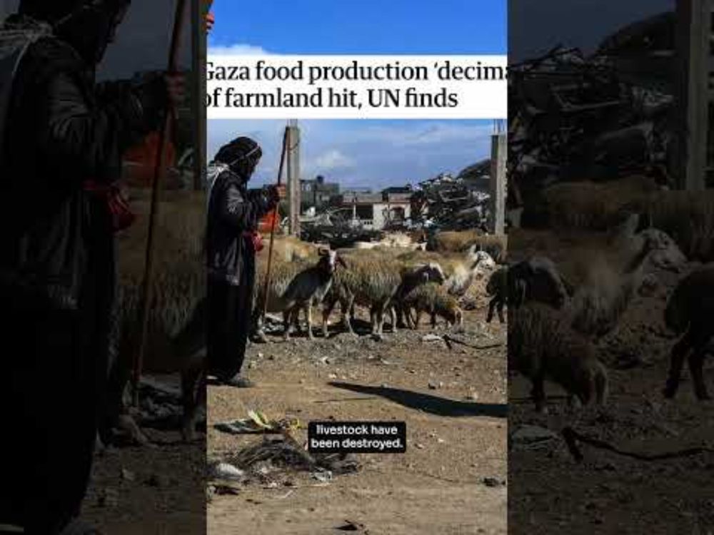 What a man-made famine looks like