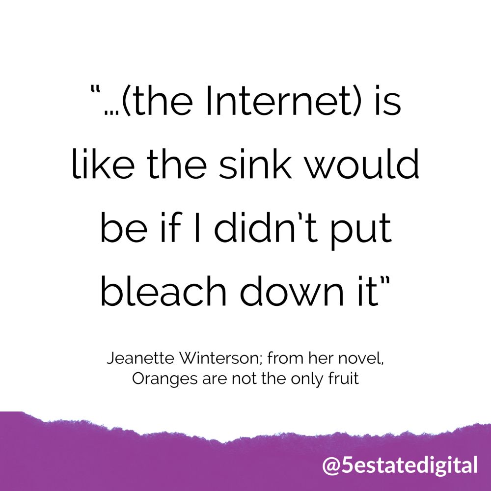 Quote from Jeanette Winterson’s novel, Oranges Are Not The Only Fruit. “ The Internet is like the sink would be if I didn’t put bleach down it”.