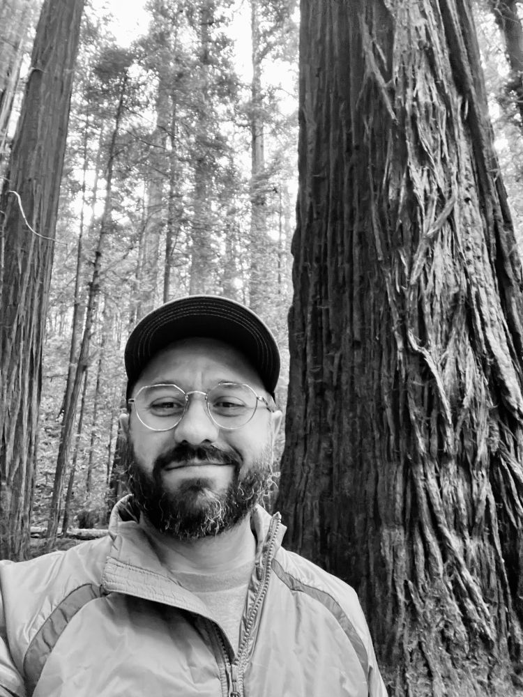 A bearded man with wire-rimmed glasses and a hat, standing next to a giant redwood tree