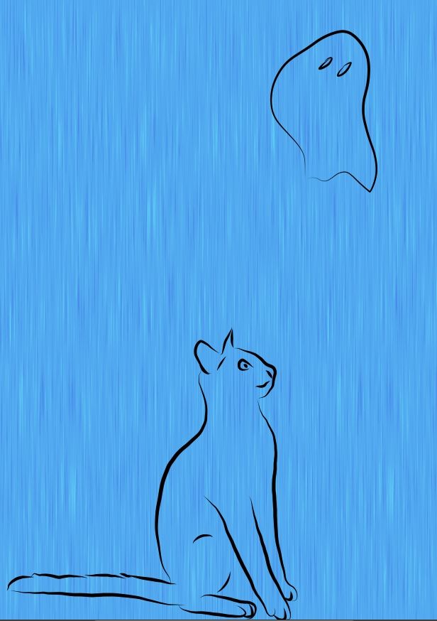 A cat seeing a ghost (literally)