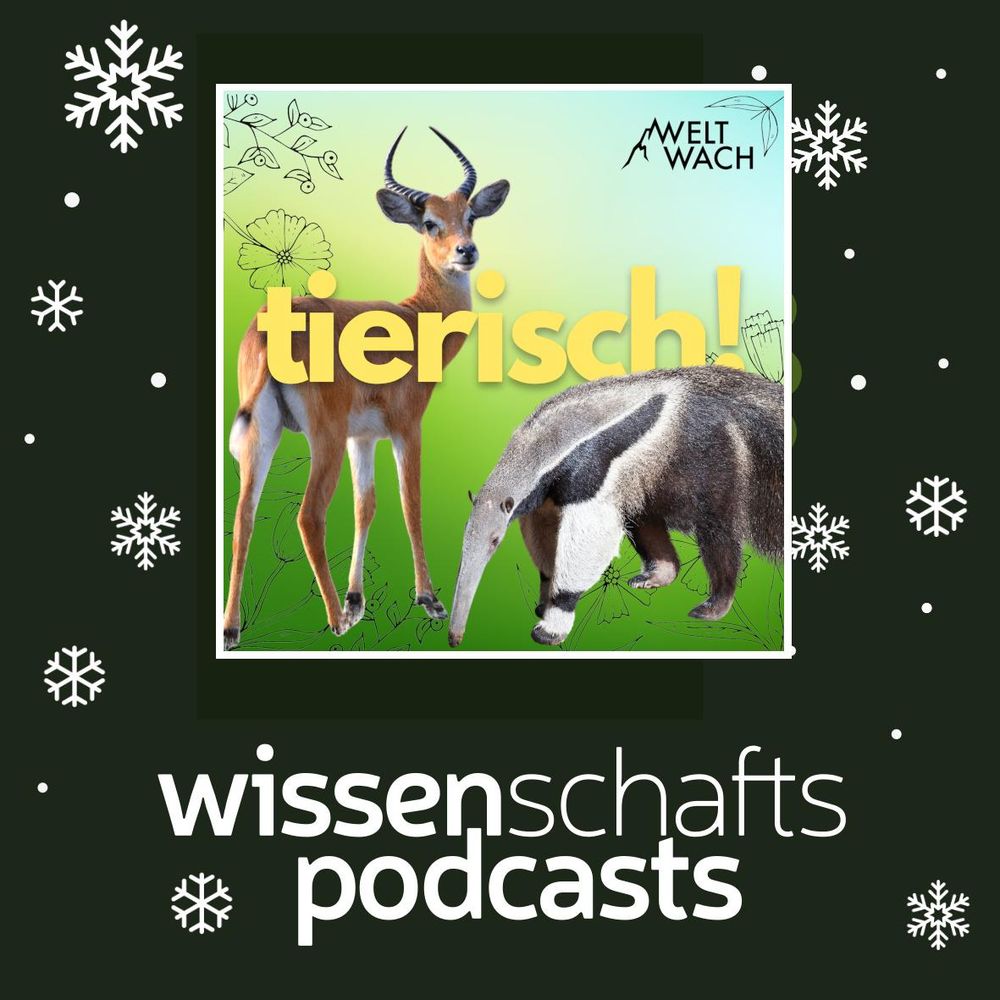 Ein grünes Quadrat, darin Schneeflocken und der Schriftzug "Wissenschaftspodcasts". Darin ein kleineres Quadrat mit dem Logo vom tierisch!: Ein rehartiges Tier mit langen Hörnern und ein Ameisenbär, darüber stilisiert Blätter und eine Blüte. Es ist bunt.