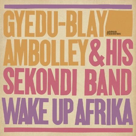 Cover of Gyedu-Blay Ambolley: Wake Up Afrika