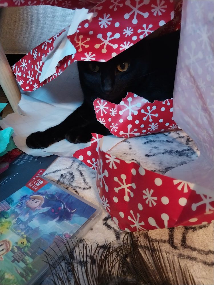 Black cat with yellow eyes lying on top of red christmas wrapping paper, with it draped over his body. He looks sneaky and alert.