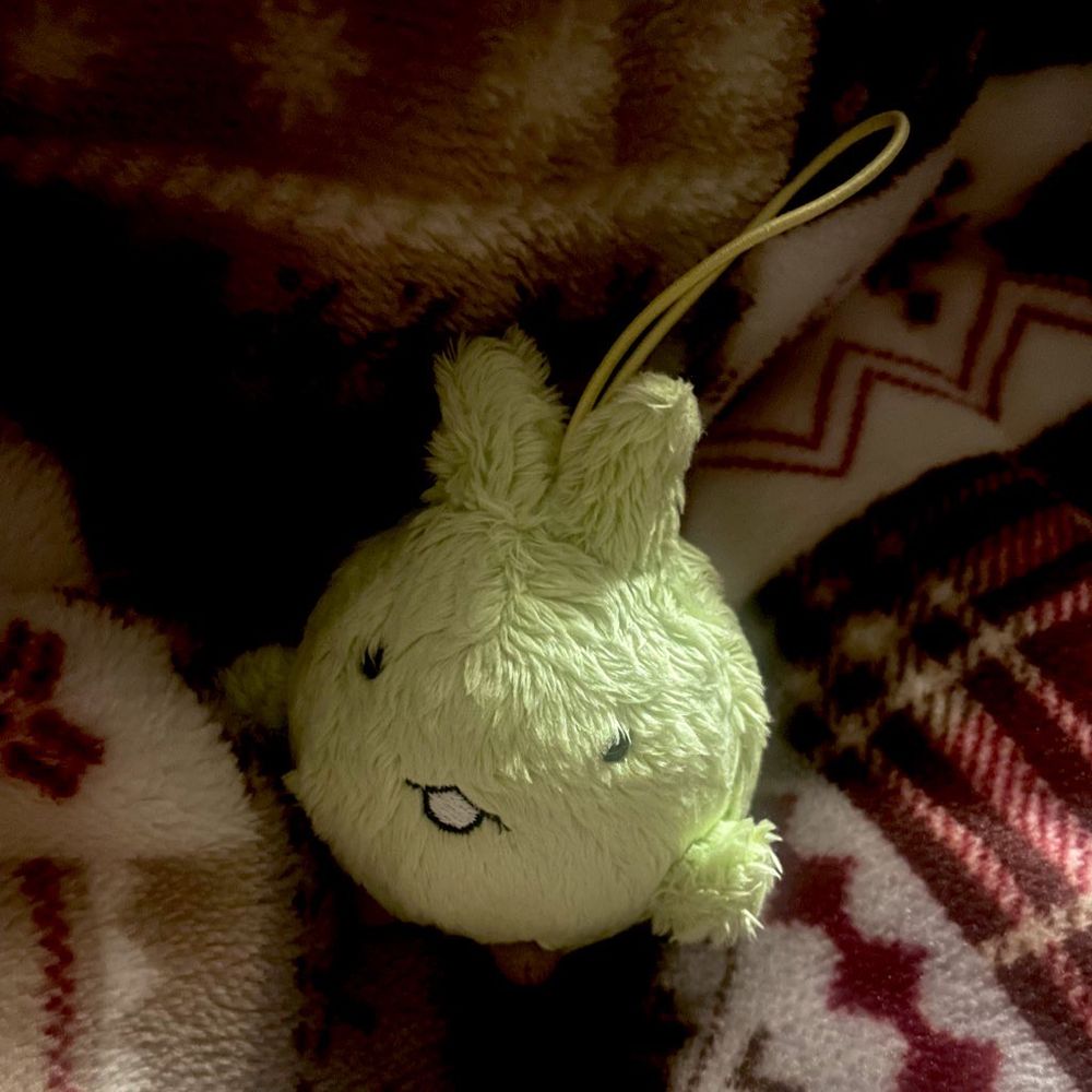 洗濯されてほぼ乾いている、毛先がポワポワしているキッコロのぬいぐるみ 冬っぽい柄の毛布に乗せられている