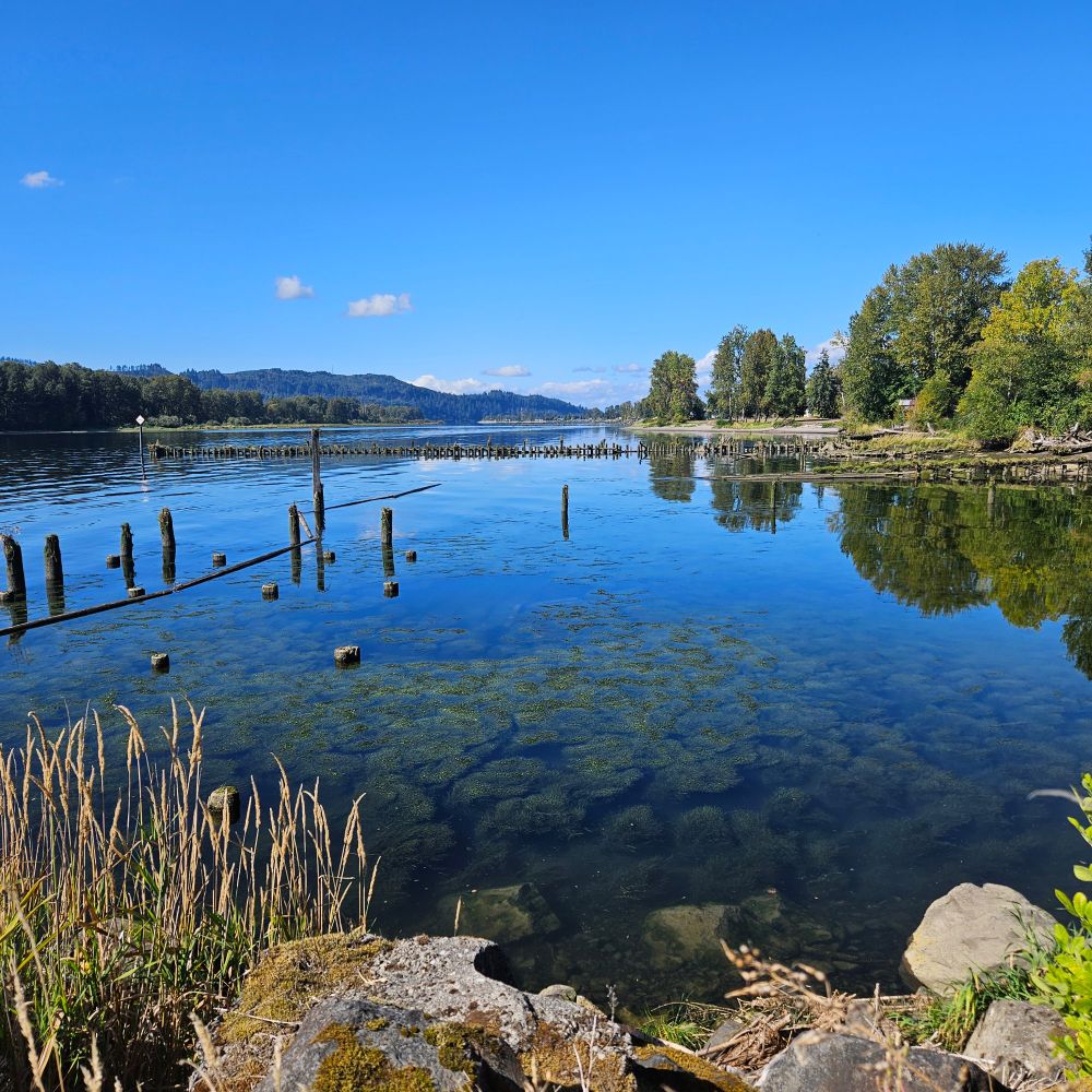 Blue sky above a blue river. 