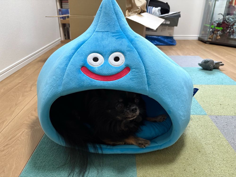 Rohan inside a Slime shaped bed. 