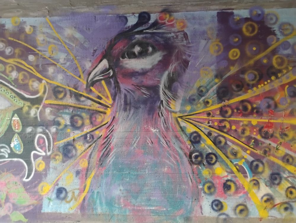 Puijonlaakson alikulun taidetta.