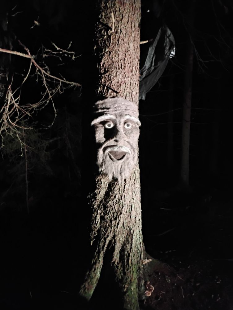 Kuusi, jolla vanhan miehen kasvot ja aave leijuu sen vierellä. Pimeää ympärillä.