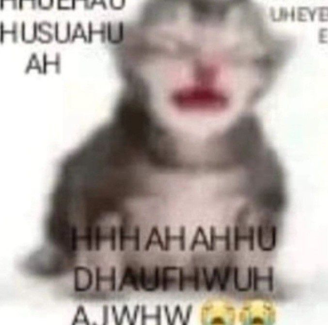Comment image