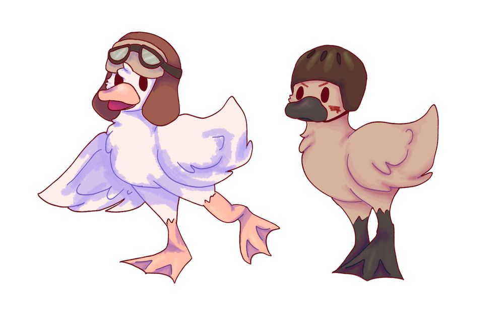 Left: Pale cream duck with orange feet and bill, aviator hat and goggles 
Right: Brown duck with black feet and bill, face paint made to look like angry eyebrows, and a black bike helmet 